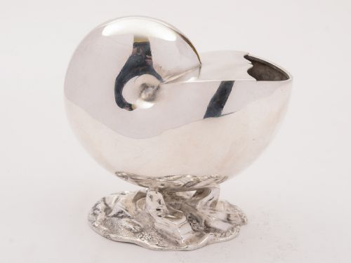 Victorian Nautilus Shell Spoon Warmer Circa 1880