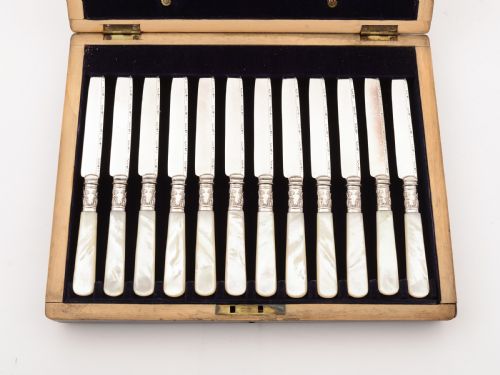 Cased Mother of Pearl and Silver Plated Dessert Set Circa 1905