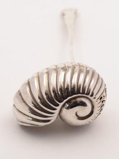 Silver Nautilus Shell Sugar Sifting Spoon Birmingham 1916