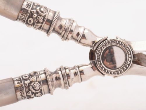 Lovely Victorian Mother of Pearl Handled Grape Scissors Sheffield 1896