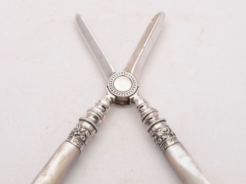 Lovely Victorian Mother of Pearl Handled Grape Scissors Sheffield 1896