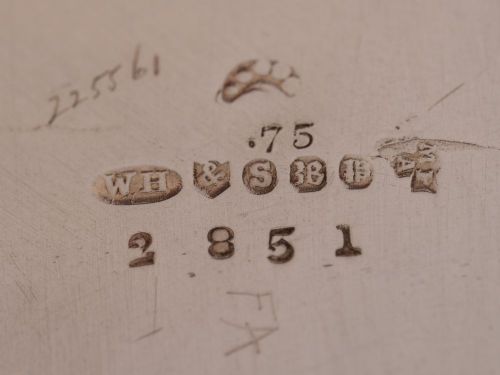 Gorgeous Edwardian Silver Plated Ice Bucket & Tongs - circa 1905