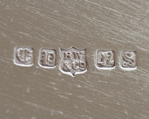 Gorgeous Victorian Silver Plated Tray - circa 1880