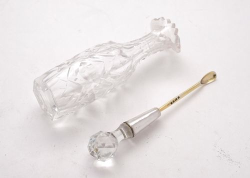 Gorgeous Georgian Mustard Pot Sheffield 1802