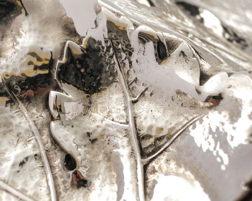 Stunning Victorian Elkington Silver Plated Leaf Serving Dish - 1898