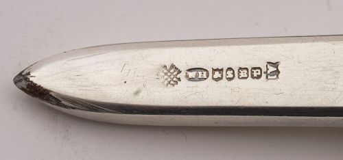 Fabulous Cased Victorian Grape Scissors Circa 1890