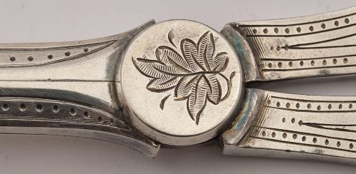 Fabulous Cased Victorian Grape Scissors Circa 1890