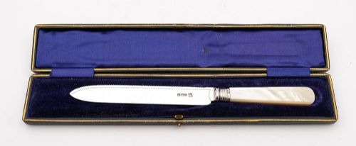 Nice Edwardian Silver bladed cake knife - Sheffield 1901