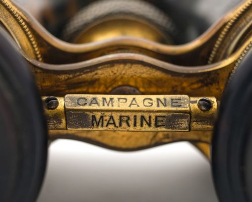 Lovely Pair Faux Tortoiseshell & Brass Binoculars - circa 1920