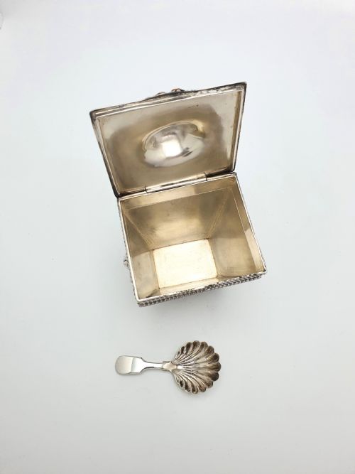 Edwardian Sheffield Silver Plated Tea Caddy and Spoon - circa 1905